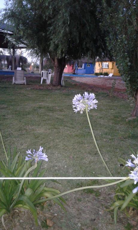 Termas del Daymán Termas Sol Y Luna מראה חיצוני תמונה